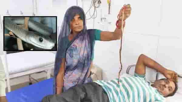 हातात साप घेऊन आली अन् डॉक्टरला म्हणाली, हाच तो... कुठे घडला हा प्रकार?