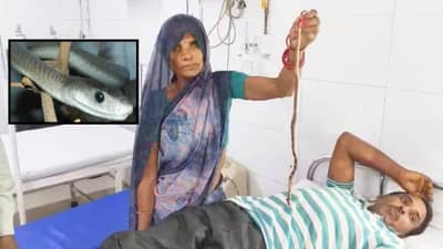 हातात साप घेऊन आली अन् डॉक्टरला म्हणाली, हाच तो... कुठे घडला हा प्रकार?
