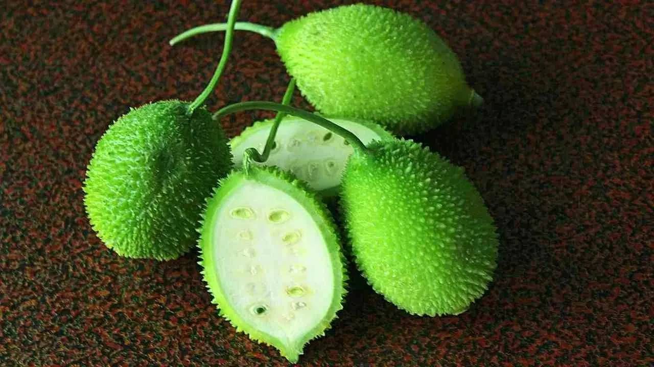 टीप: साप हा एक धोकादायक प्राणी आहे, त्यामुळे कोणतेही घरगुती उपाय किंवा आयुर्वेदिक उपचार करण्यापूर्वी तातडीने डॉक्टरांकडे जा. तुम्ही इच्छित असाल तर हे उपाय वापरून पाहू शकता, विशेषतः जेव्हा साप फारसा विषारी नसतो. डॉक्टर घरी येईपर्यंत किंवा तुम्ही त्यांच्याकडे पोहोचेपर्यंत असे उपाय करून पाहता येऊ शकतात, पण केवळ या उपायांवर अवलंबून राहणे योग्य नाही.