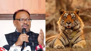 मानव विरुद्ध वन्यजीव संघर्ष टाळण्यासाठी AI तंत्रज्ञानाची मदत, जंगलांमध्ये 900 कॅमेरे लावले जाणार