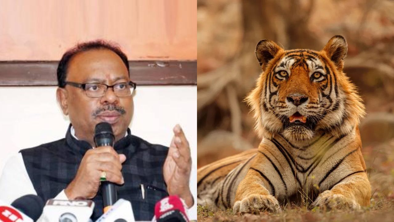 मानव विरुद्ध वन्यजीव संघर्ष टाळण्यासाठी AI तंत्रज्ञानाची मदत, जंगलांमध्ये 900 कॅमेरे लावले जाणार