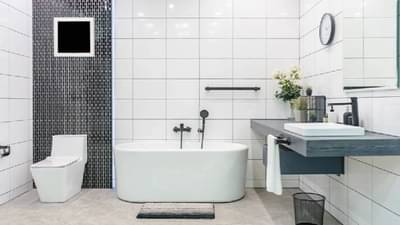 Vastu Tips :  जर तुम्हीही बाथरूममध्ये ठेवल्या असतील या तीन गोष्टी, तर घरात कधीच पैसा टिकणार नाही