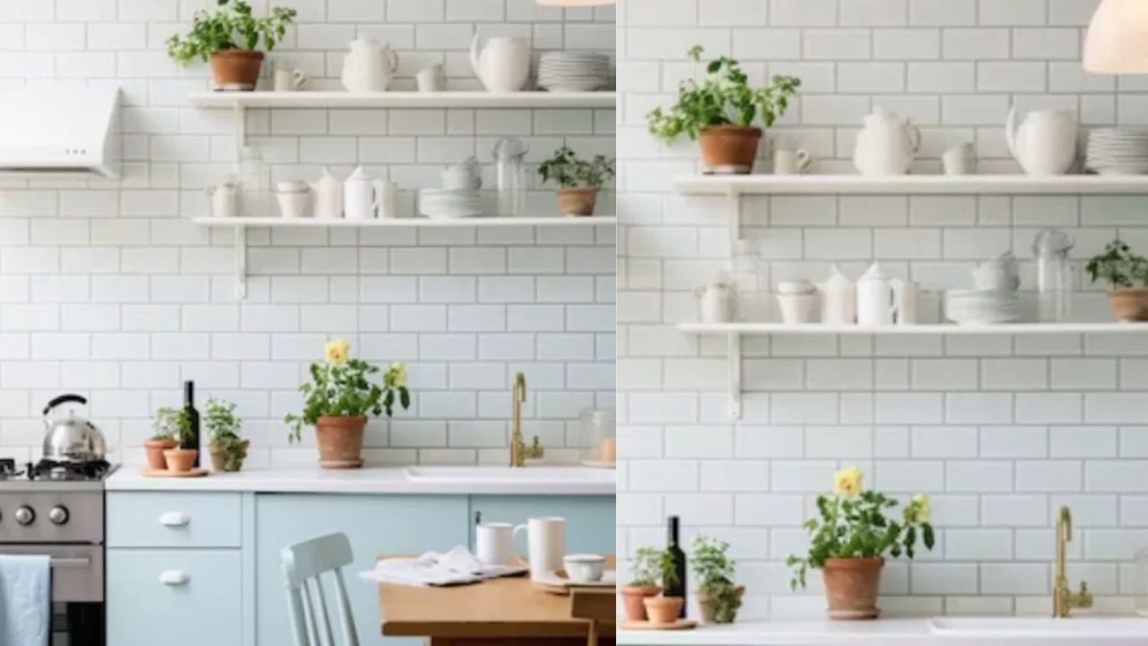 Vastu Tips : या 3 वनस्पती आहेत खूपच लकी, घराकडे चुंबकाप्रमाणे पैसा आकर्षित होतो, वास्तुशास्त्र काय सांगतं? Vastu Tips : या 3 वनस्पती आहेत खूपच लकी, घराकडे चुंबकाप्रमाणे पैसा आकर्षित होतो, वास्तुशास्त्र काय सांगतं?