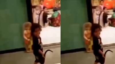 Video : खेळता -खेळता चिमुकल्यानं घरात आणली अशी वस्तू, अख्ख्या कुटुंबाला फुटला घाम, उडाला थरकाप