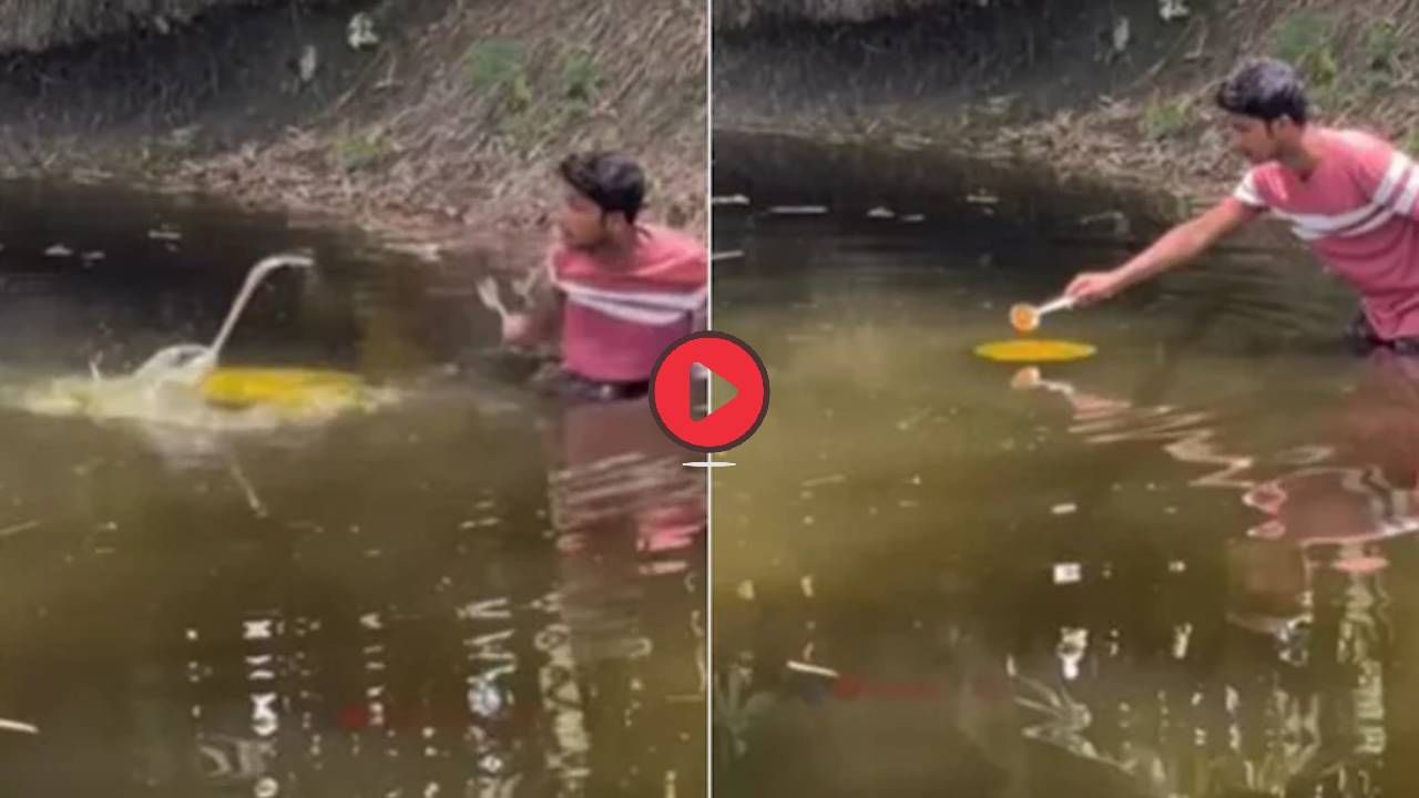 तलावात हळद टाकून केला हळदीचा ट्रेंड, अचानक पाण्यातून साप बाहेर आला अन्... पाहा Video नेमकं काय झालं?