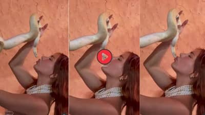 Viral Video: सापाला लिप किस करत होती महिला, कॅमेऱ्यात कैद झाला असा नजारा की डोळ्यांवर विश्वास बसणार नाही