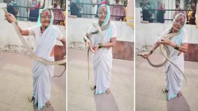 मराठमोळी फायटर आज्जी... 8 फूट लांब खतरनाक साप हातात पकडला, गळ्यात घातला; वयाच्या 70 व्या वर्षी ना डर, ना भीती, Video पाहा