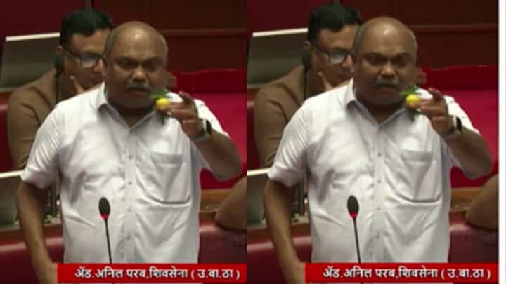 Anil Parab : अधिवेशनाच्या कामकाजात आणली लिंबू मिरची; काय आहे प्रकार? Anil Parab : अधिवेशनाच्या कामकाजात आणली लिंबू मिरची; काय आहे प्रकार?