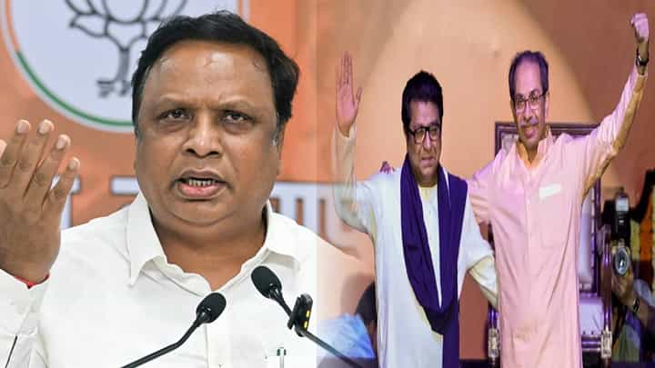 Ashish Shelar : आता कसा झेंडा घेऊ हाती? शेलारांनी ठाकरे बंधूंना डिवचलं अन्... Ashish Shelar : आता कसा झेंडा घेऊ हाती? शेलारांनी ठाकरे बंधूंना डिवचलं अन्...