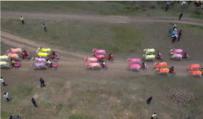 पहिला क्रमांक - जनरल गटामध्ये सुलतान आणि राम्या हे महाराष्ट्रचा राज्य देवाभाऊ केसरीचे पहिले मानकरी ठरले, तर दुसरा क्रमांक - हरण्या आणि गज्या या जोडीने  पटकावला आहे. तिसरा क्रमांक - गुलब्या आणि कॅडबरी यांनी पटकावला आहे.