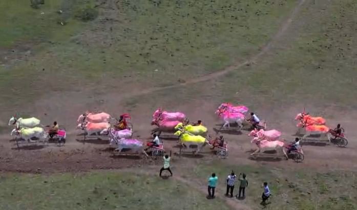 पहिले बक्षीस 5 लाख 55 हजार 555 रुपये आहे. तर दुसरे बक्षीस 3 लाख 5 हजार 555 आणि तिसरे बक्षीस 2 लाख 5 हजार 555 होते.  या शर्यती पाहण्यासाठी  लाखांहून अधिक लोक जमले होते. भाजपाचे उच्च आणि  तंत्र शिक्षण मंत्री चंद्रकांत पाटील आणि ग्रामविकास मंत्री जयकुमार गोरे यांच्या हस्ते या शर्यतीचे दणक्यात उदघाटन झाले.