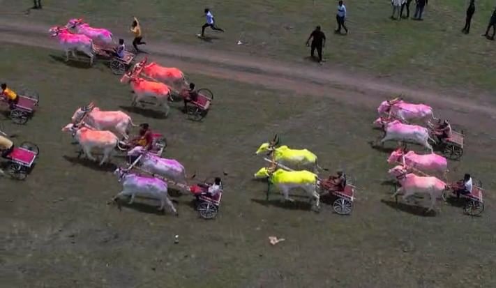  पुण्यश्लोक अहिल्यादेवी होळकर जयंती तसेच देवेंद्र फडणवीस यांच्या वाढदिवस आणि नागपंचमी निमित्ताने या स्पर्धा पार पडल्या. यावेळी मोठ्या संख्येने बैलगाड्या शर्यतीमध्ये सहभागी झाल्या होत्या.