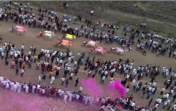 महाराष्ट्रातील सर्वात जुन्या शर्यतीचे मैदान म्हणून रांगोळ्याच्या बैलगाडी शर्यतीची ओळख आहे.पुण्यश्लोक अहिल्यादेवी होळकर जयंती तसेच देवेंद्र फडणवीस यांच्या वाढदिवसानिमित्त आणि नागपंचमी निमित्ताने या स्पर्धा पार पडल्या.