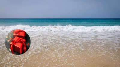 बीचवर सापडला सुंदर गिफ्ट बॉक्स; उघडताच थरथर कापू लागला, पोलिसांनाही फुटला घाम, शहरात उडाली खळबळ