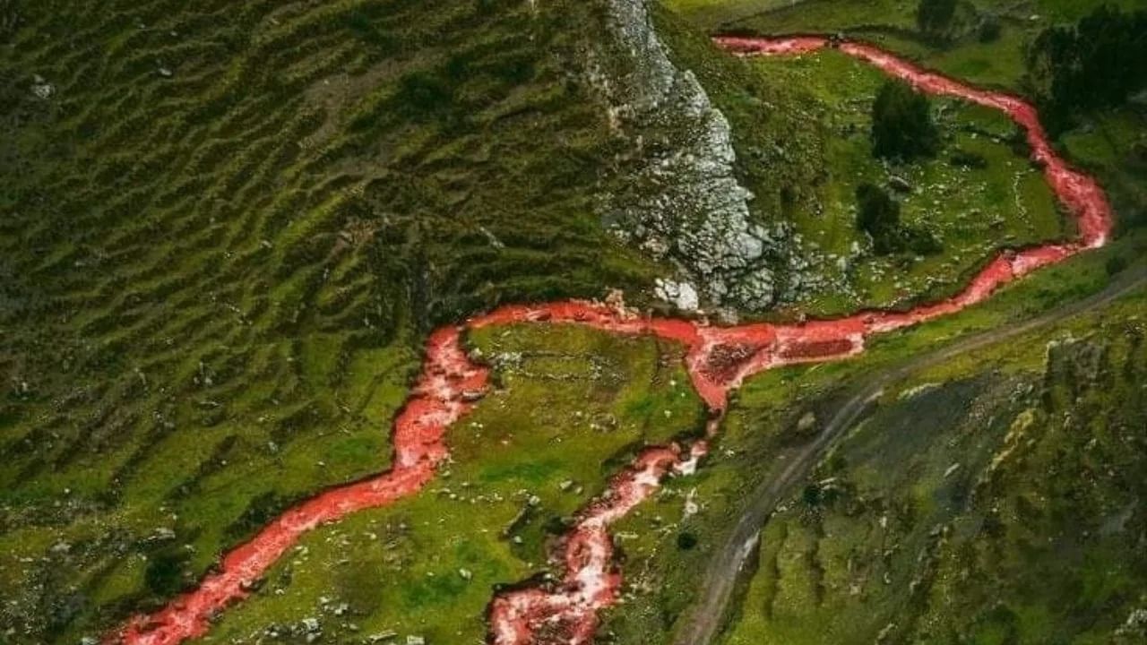  जगात अशा अनेक नद्या आहेत ज्या त्यांच्या स्वच्छ पाण्यासाठी खूप प्रसिद्ध आहेत. पण एक नदी अशी देखील आहे जी तिच्या लाल रंगामुळे खूप प्रसिद्ध आहे. लांबून पाहिल्यानंतर असं वाटतं की रक्ताची नदी आहे. पेरुमध्ये स्थिन पुकामयु नदीचं पाणी रक्तासारखं लाल आहे. बरेच लोक या नदीला भितीदायक मानतात, पण बरेच लोक ती पाहण्यासाठी दूरवरून येतात.