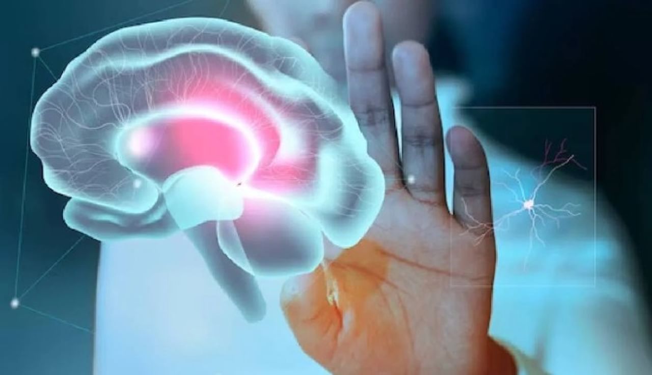 आजकाल स्ट्रोक येण्याचे प्रमाण वाढले आहे. स्ट्रोक येण्याआधी शरीराला कोणतेही संकेत मिळत नाहीत, असा लोकांचा समज आहे. पण स्ट्रोक येण्याआधी शरीर काही संकेत देते. या संकेतांकडे दुर्लक्ष करू नये. शरीर खाली दिलेली लक्षणं  देत असेल तर लगेच डॉक्टरांचा सल्ला घ्यायला हवा. 