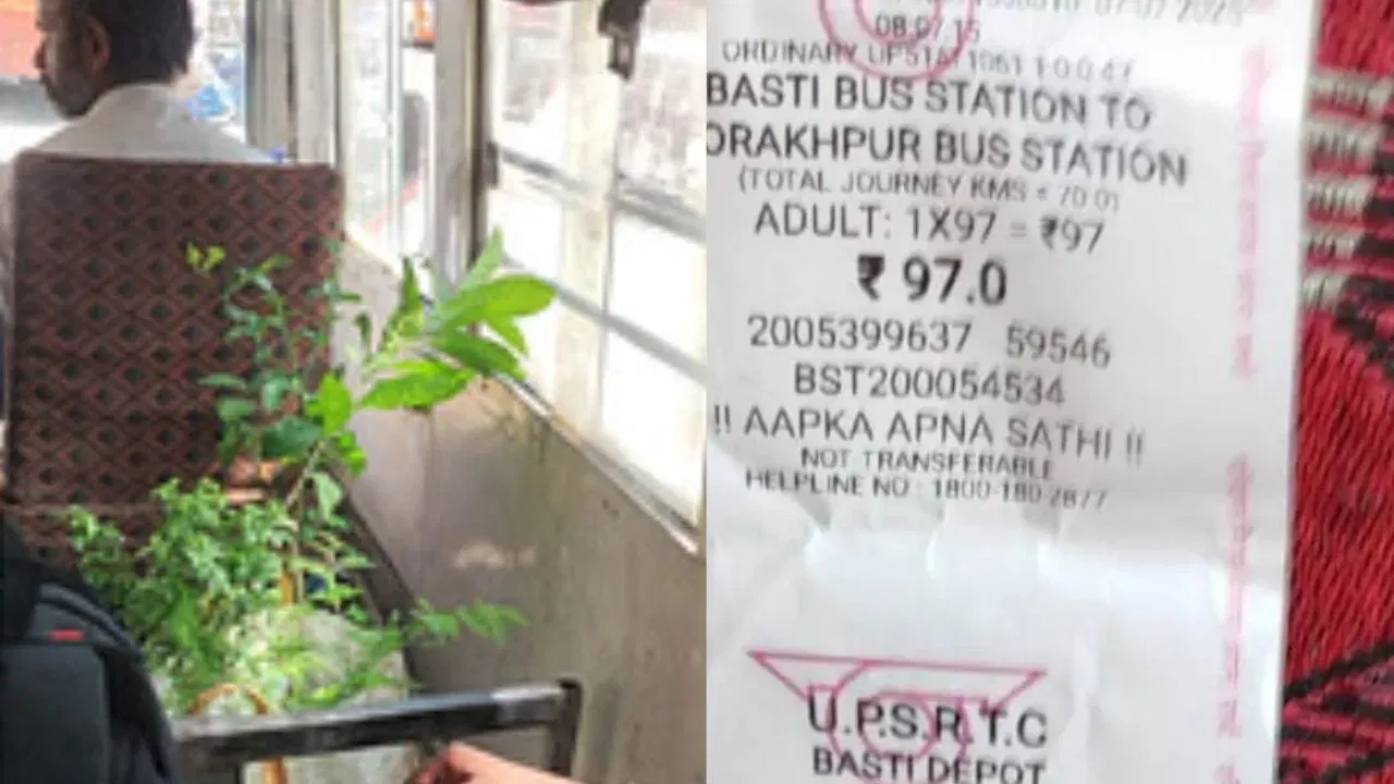 ऐकावं ते नवलच! बस कंडक्टरने चक्क झाडाचं काढलं तिकीट, कुठे घडली घटना?