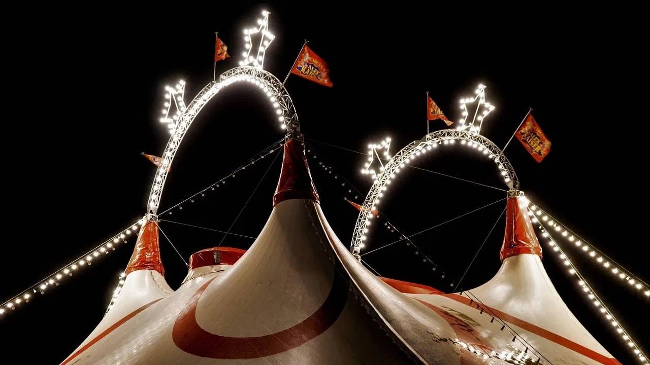 हा देश वर्षावन,, कोरल रीफ आणि वाइल्‍डलाइफसाठी ओळखला जातो. राइट नेचर सेंटर बर्ड वॉचिंगसाठी फेमस आहे.  त्रिनिदाद कार्निवलला "The Greatest Show on Earth" म्हटलं जातं.  (फोटो: Pixabay)