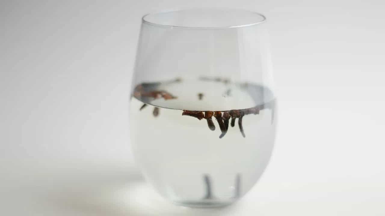 लवंगाचा वापर केवळ चव वाढवण्यासाठीच केला जात नाही तर आरोग्यासाठी देखील केला जातो, विशेषतः त्याचे पाणी पिणे अनेक आरोग्य समस्यांमध्ये फायदेशीर आहे.