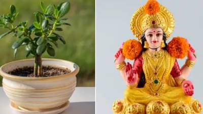दिवाळीपूर्वी घरामध्ये सुख समृद्धी नांदण्यासाठी घरच्या घरी ट्राय करा हा उपाय...