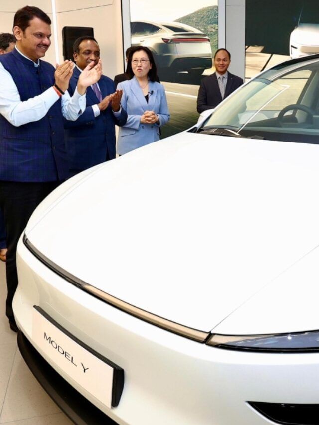 TESLA पदरी बाळगणं सोपं नाही,या एका फिचरची किंमत 6 लाख TESLA पदरी बाळगणं सोपं नाही,या एका फिचरची किंमत 6 लाख