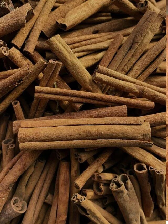 PCOD असणाऱ्या महिलांसाठी दालचिनी ठरेल उपयुक्त? पण कसं? PCOD असणाऱ्या महिलांसाठी दालचिनी ठरेल उपयुक्त? पण कसं?