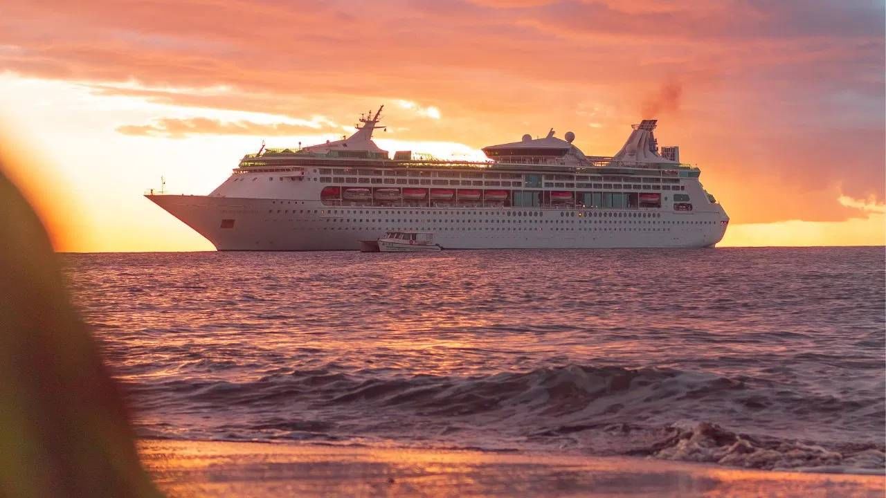 क्रूझवर काम केलेल्या एका व्यक्तीने सोशल मीडियावर एक व्हिडीओ शेअर केला होता. त्यात प्रवाशांशी सलगी साधणं किती धोकादायक आहे, हे दाखवण्यात आलं होतं. 