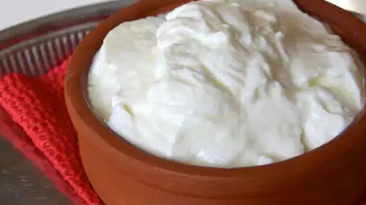 ...तर आरोग्यदायी दही ठरू शकते घातक, या गोष्टींसोबत खाणं टाळा ...तर आरोग्यदायी दही ठरू शकते घातक, या गोष्टींसोबत खाणं टाळा