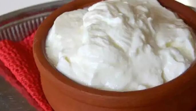 दही खाल्ल्याने पचनसंस्था सुधारते तसचे अनेक जीवनसत्त्वेदेखील मिळतात. मात्र काही पदार्थांसोबत दह्याचे सेवन केल्यास तुमच्या शरीरावर वाईट परिणाम होऊ शकतात. कधीकधी त्त्वचासंबंधी एखादा आजार उद्भवू शकतो. 