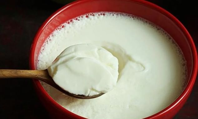 आयुर्वेदानुसार दही आणि मासे सोबत खाऊ नयेत. हे दोन्ही पदार्थ एकत्र खाल्ले तर त्यांचे पचन होणे कठीण होऊन जाते. त्यामुळे पोटदुखीचा त्रास होऊ शकतो. 