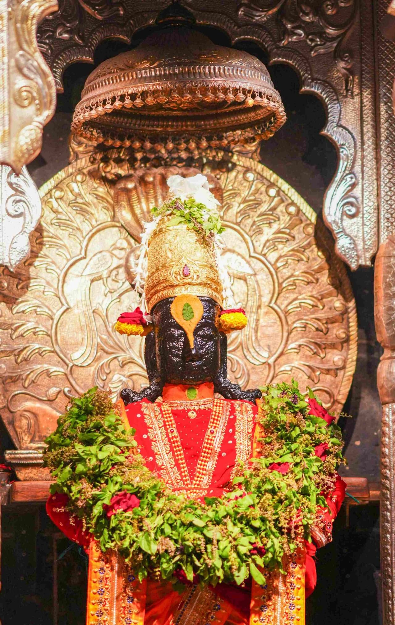अवघे गरजे पंढरपूर, चालला नामाचा गजर..., अशा जयघोषात पंढरपुरी नगरी दुमदुमली आहे. विठ्ठलनामाच्या गजरात आणि लाखो भक्तांच्या उपस्थितीत आज पंढरपूरच्या विठ्ठल-रुक्मिणी मंदिरात आषाढी एकादशीची महापूजा पार पडली.