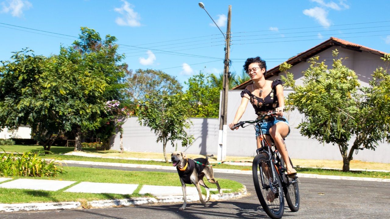 त्यासोबतच हिंमत करुन आपले वाहन थांबवा. त्यामुळे कुत्रे आपोआप शांत होतात. ते शांत झाल्यावर हळूहळू तुमच्या वाहनाचा वेग वाढवा. त्या भागातून बाहेर पडा. शांतता आणि संयम ठेवल्यास हे प्रसंग टाळता येतात.