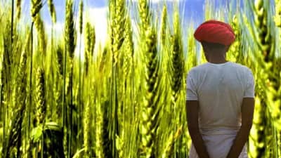 मायबाप सरकार, मदत करा, सांगा कसं जगायचं? बळीराजाची काळीज चिरणारी हाक, होतं नव्हतं सगळं गेलं