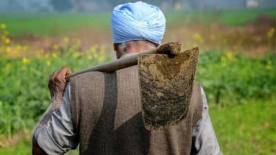 गरीब शेतकऱ्याला शेतात मिळाली अशी वस्तू, त्यानंतर पोलीस अन् ग्रामस्थांनी अख्ख गाव खोदून काढलं