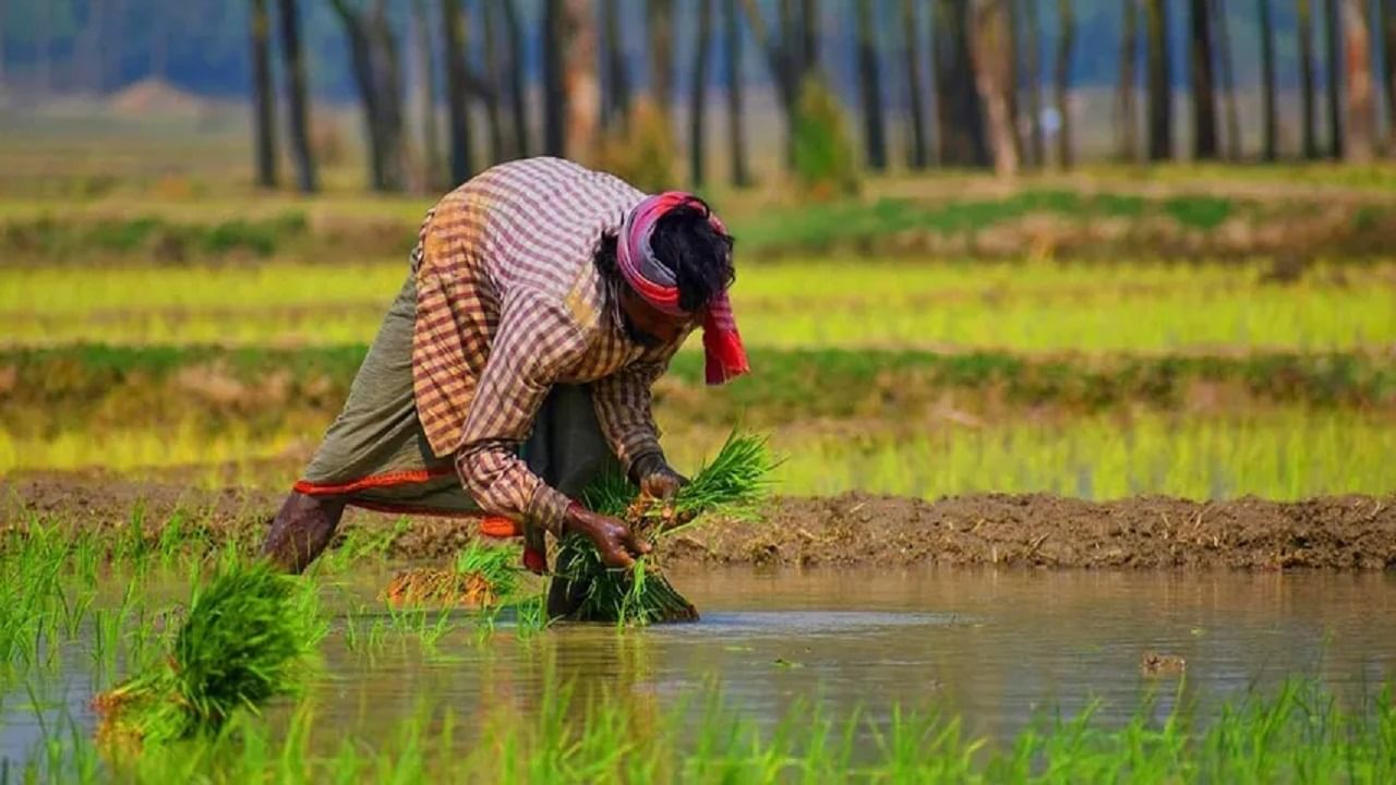 शेतकऱ्यांना आता त्यांच्या भाषेतच मिळणार मदतीचा हात; सरकारने लाँच केला 'हा' नवा चॅटबॉट