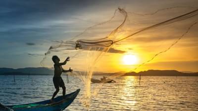 नदीत गेलेल्या मच्छिमाराला माशाऐवजी मिळाली भलतीच गोष्ट, शेपूट हातात आलं अन् बसला धक्का, काळजाचा थरकाप उडवणारा Video