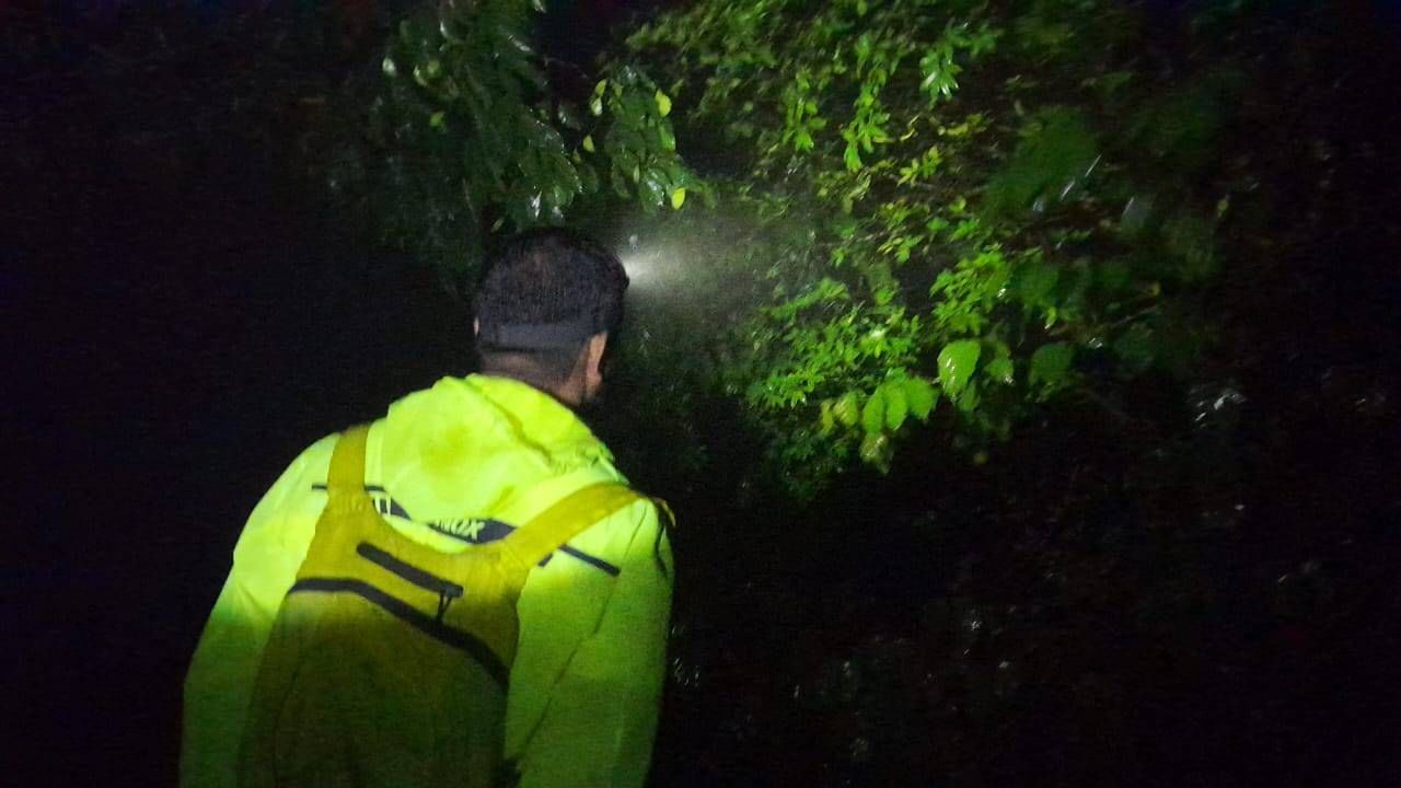 आंबोलीत आढळणाऱ्या या दुर्मीळ 'मलबार ग्लायडिंग फ्रॉग'(उडणाऱ्या बेडकाच्या) जीवनचक्राचा अभ्यास करण्यासाठी सध्या वन्यजीव अभ्यासक व पर्यटक आंबोलीत दाखल झाले आहेत. 