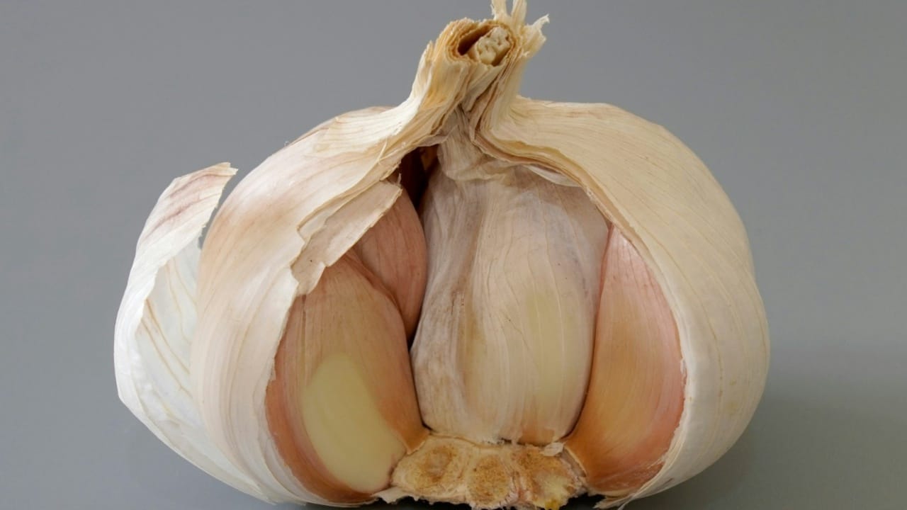 लसणाची चव सालीसकट कडवट शकते. पण सोललेला लसूण अधिक नैसर्गिक आणि रुचकर लागतो. लसणाच्या पाकळ्यांमध्ये अनेक पोषक तत्वे आणि अँटीऑक्सिडंट्स असतात. जे आरोग्यासाठी फायदेशीर असतात. एकंदरीत, लसूण सोलून खाणे आणि न सोलता खाणे या दोन्हीचे तितकेच फायदे आहेत. 