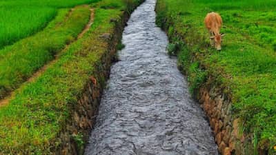 पावसाळ्यात स्वर्गासारखे दृश्य पाहण्यासाठी भारतातील या स्वच्छ आणि सुंदर गावांना द्या भेट