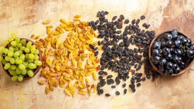 मनुके की काळे मनुके... कोणत्या मनुक्यात आहेत जास्त पोषक घटक? आरोग्यासाठी अधिक फायदेशीर कोणता?