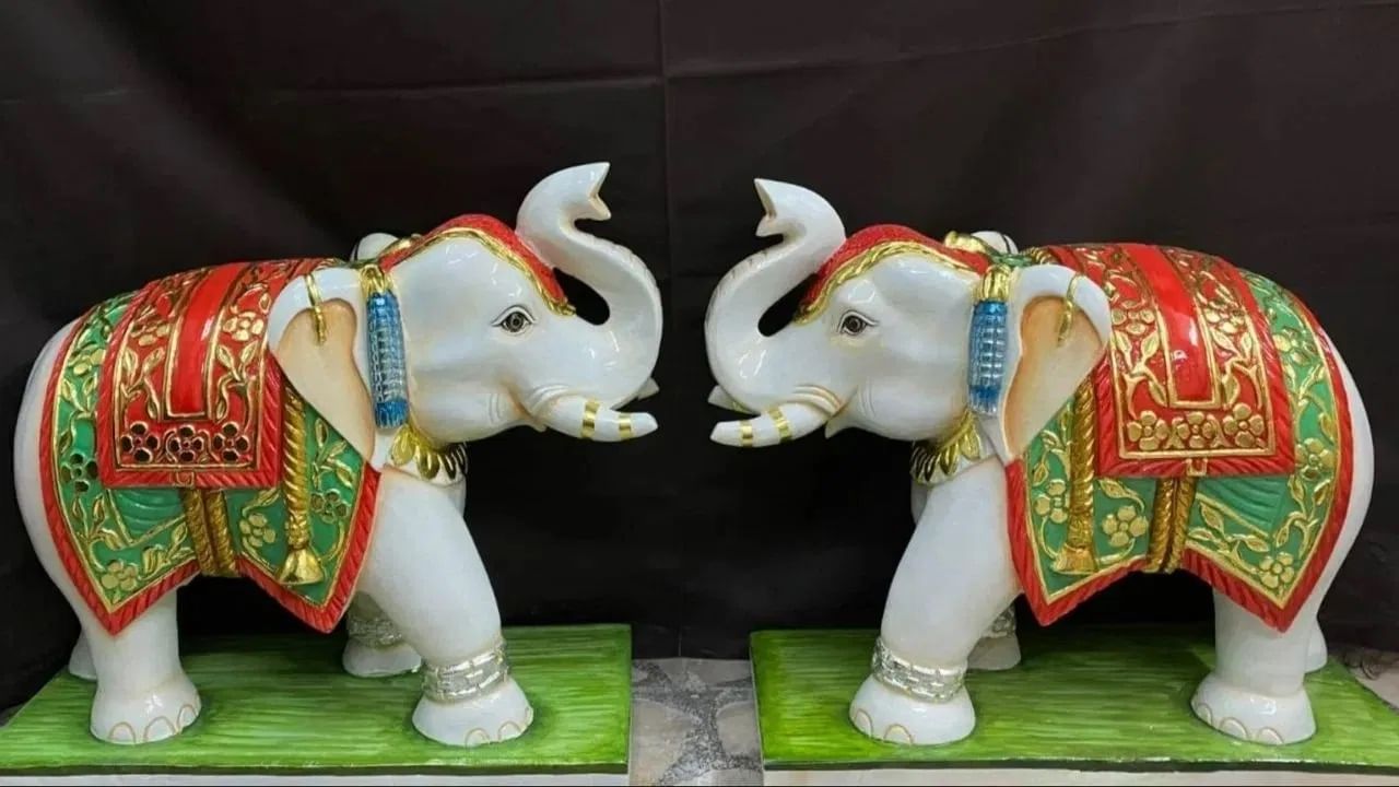 हत्तींची जोडी सौभाग्य, शक्ती आणि बुद्धिमत्तेचे प्रतीक मानली जाते. जेव्हा तुम्ही एखाद्याला पांढरा हत्ती भेट देता तेव्हा तुमचे नशीब चमकते.