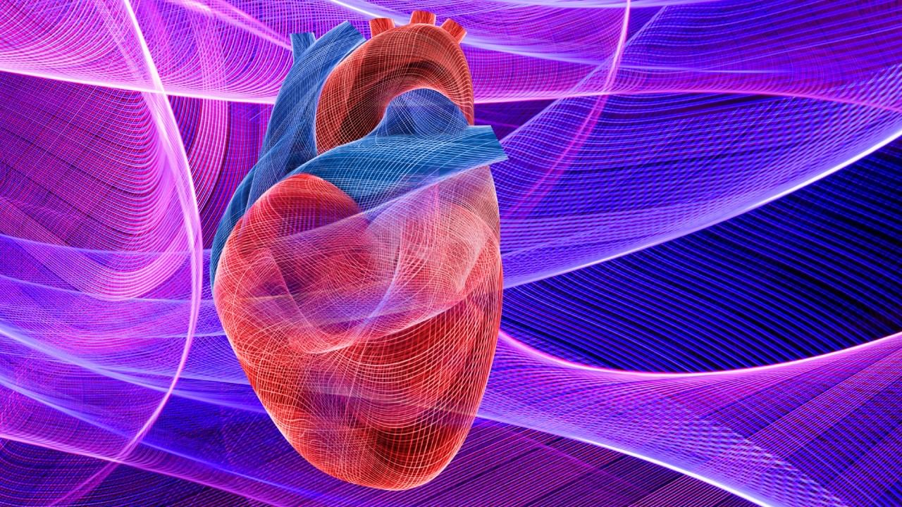 त्यासोबतच ८ तासांची गाढ झोप नक्की घ्या. ताण कमी करण्यासाठी योग, ध्यान किंवा संगीत ऐका. यामुळे तुमचे हृदय नक्कीच ठणठणीत होईल. तसेच तुमचे आरोग्यही निरोगी राहिल.