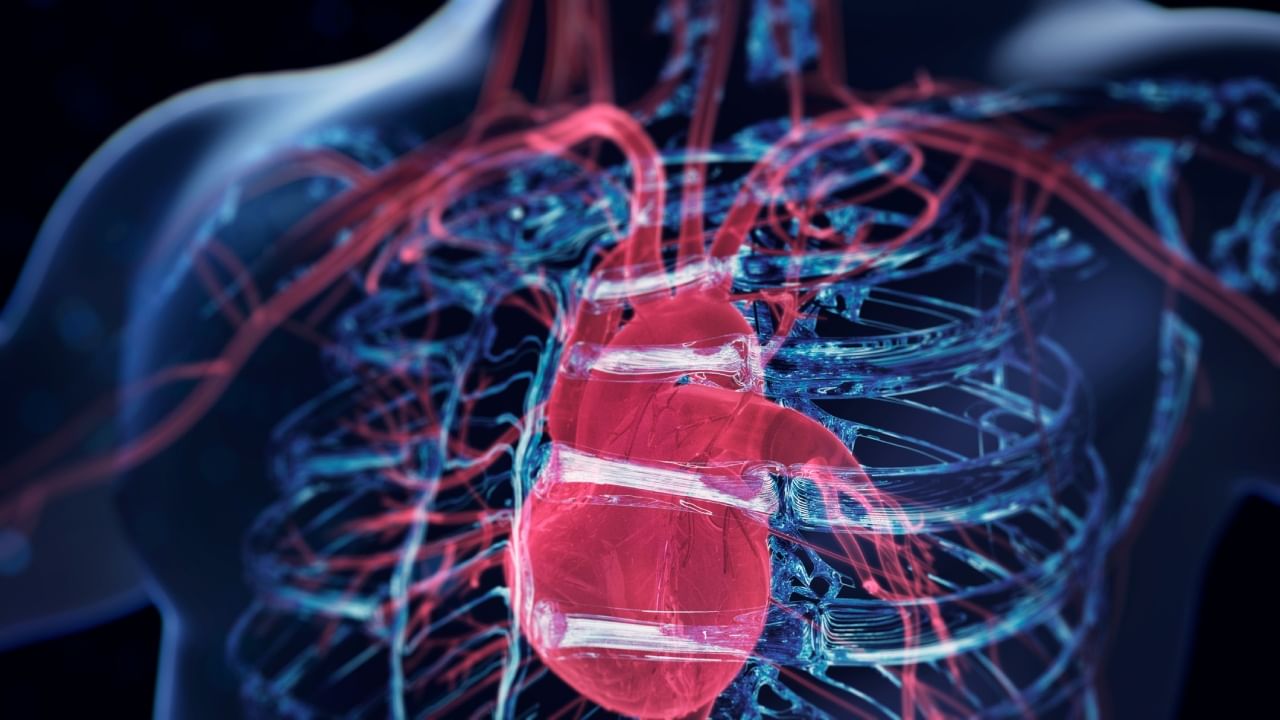 जर तुम्हाला अशी लक्षणे जाणवत असतील, तर त्यावर वेळीच लक्ष देणे महत्त्वाचे आहे. आपल्या हृदयाचं वय कमी करायचे आणि त्याला निरोगी ठेवायचे असेल तर काही सोपे उपाय करणे गरजेचे असते.