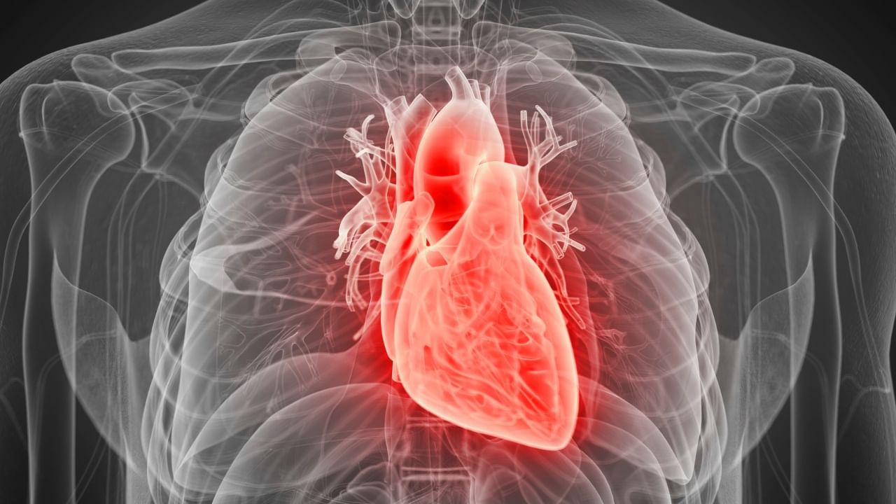 अनेक लोकांचं शरीर हे तरुण असतं, पण हृदय मात्र म्हातारं होत जाते. यानंतर मग हृदयविकाराचा धोका वाढतो. यामुळे आपण काळजी घेणे अत्यंत आवश्यक आहे.