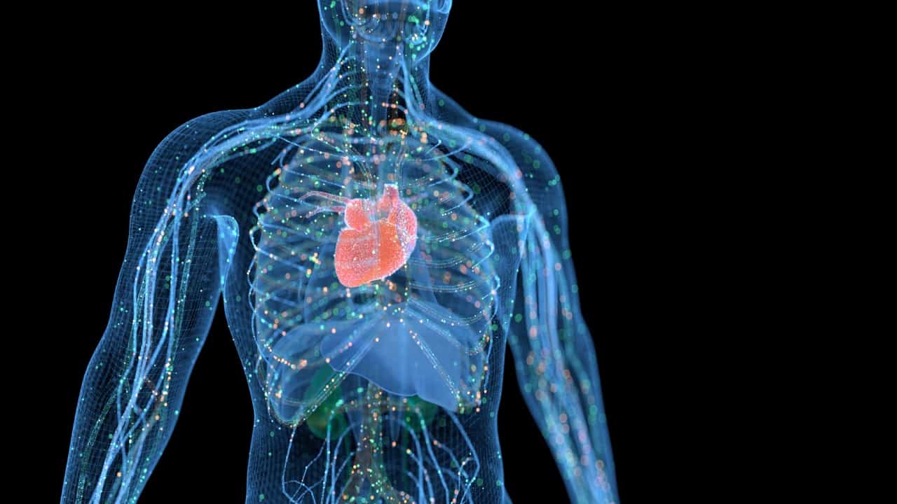 हल्ली तरुण पिढीतील अनेक मुलांच्या तोंडावर सुरकुत्या, केस पांढरे होण्याचे प्रमाण, थकलेला चेहरा दिसणं हे प्रकार वाढले आहेत. यामुळे हल्लीची तरुण पिढीही त्यांच्या वयापेक्षा जास्त प्रौढ दिसते. पण कधी विचार केलाय का, तुमच्या हृदयाचं खरं वय किती आहे? नाही ना. आज आपण याबद्दल जाणून घेणार आहोत.