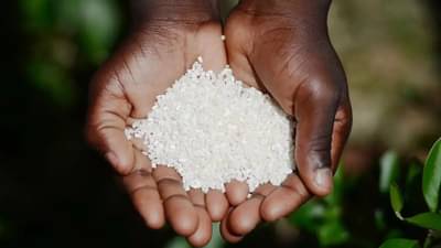 आठवड्यातील कोणत्या दिवशी काय दान करावे? जाणून घ्या....