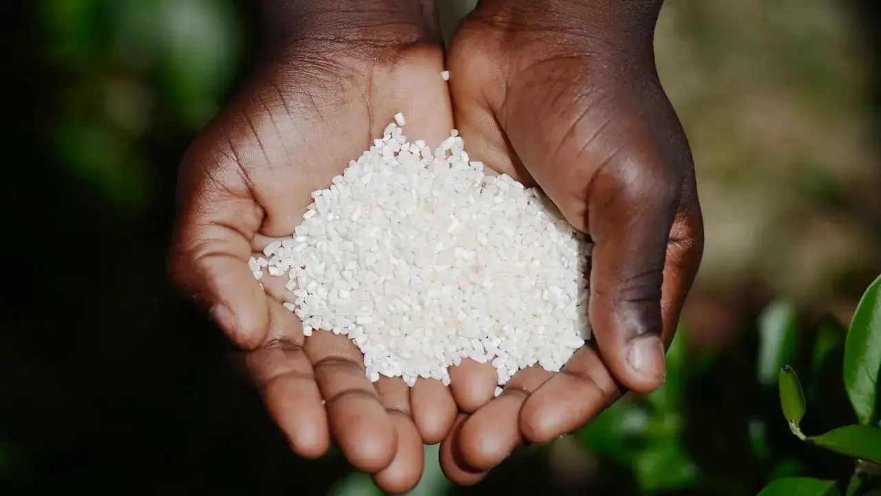 आठवड्यातील कोणत्या दिवशी काय दान करावे? जाणून घ्या....