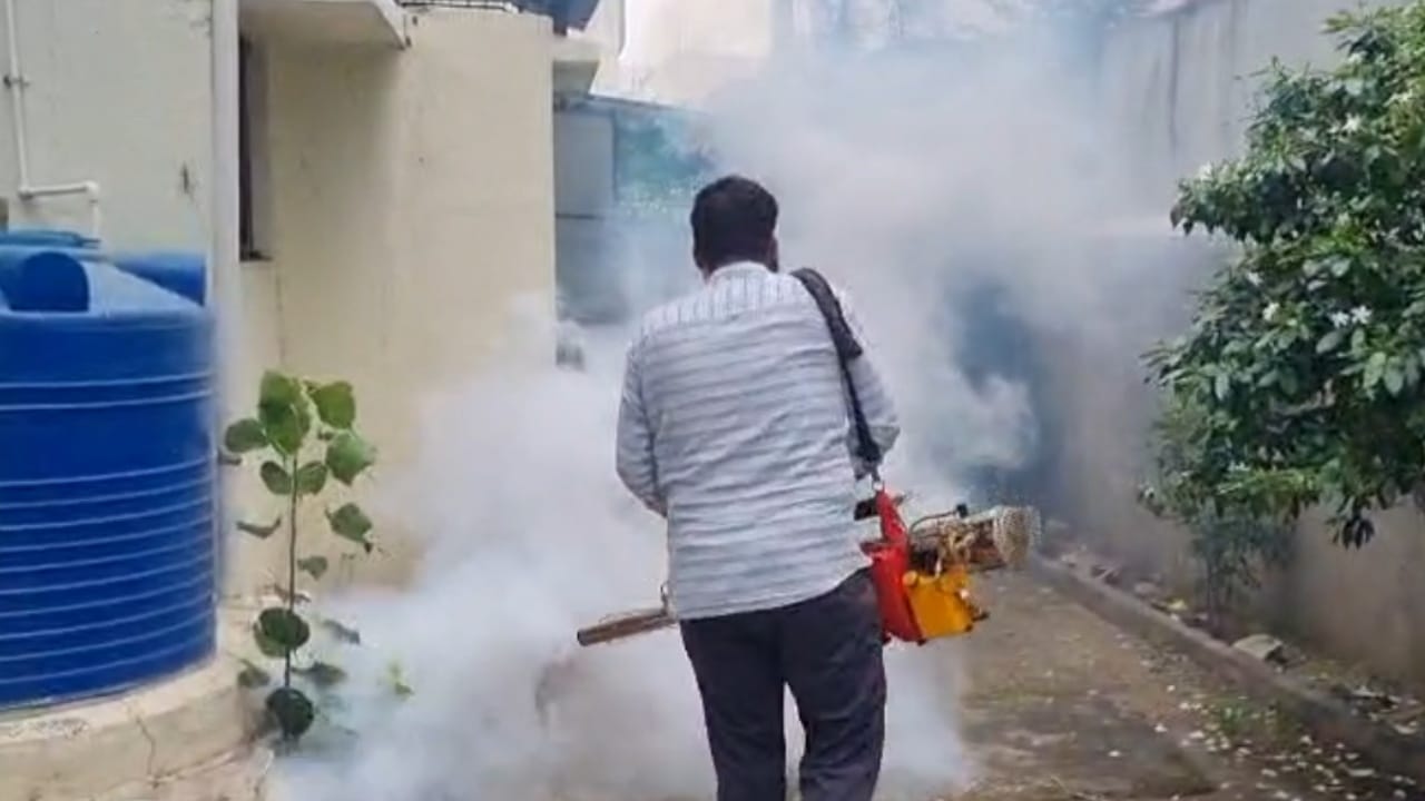 जळगाव शहरात डेंग्यूच्या रुग्णांमध्ये सातत्याने वाढ होत आहे. जळगावात आतापर्यंत ८ डेंग्यूबाधित रुग्ण आढळून आले आहेत. तर सुमारे २०० संशयित रुग्णांची तपासणी करण्यात आली आहे.