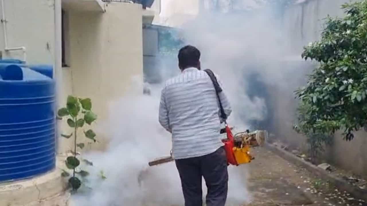 जळगाव शहरात डेंग्यूच्या रुग्णांमध्ये सातत्याने वाढ होत आहे. जळगावात आतापर्यंत ८ डेंग्यूबाधित रुग्ण आढळून आले आहेत. तर सुमारे २०० संशयित रुग्णांची तपासणी करण्यात आली आहे.