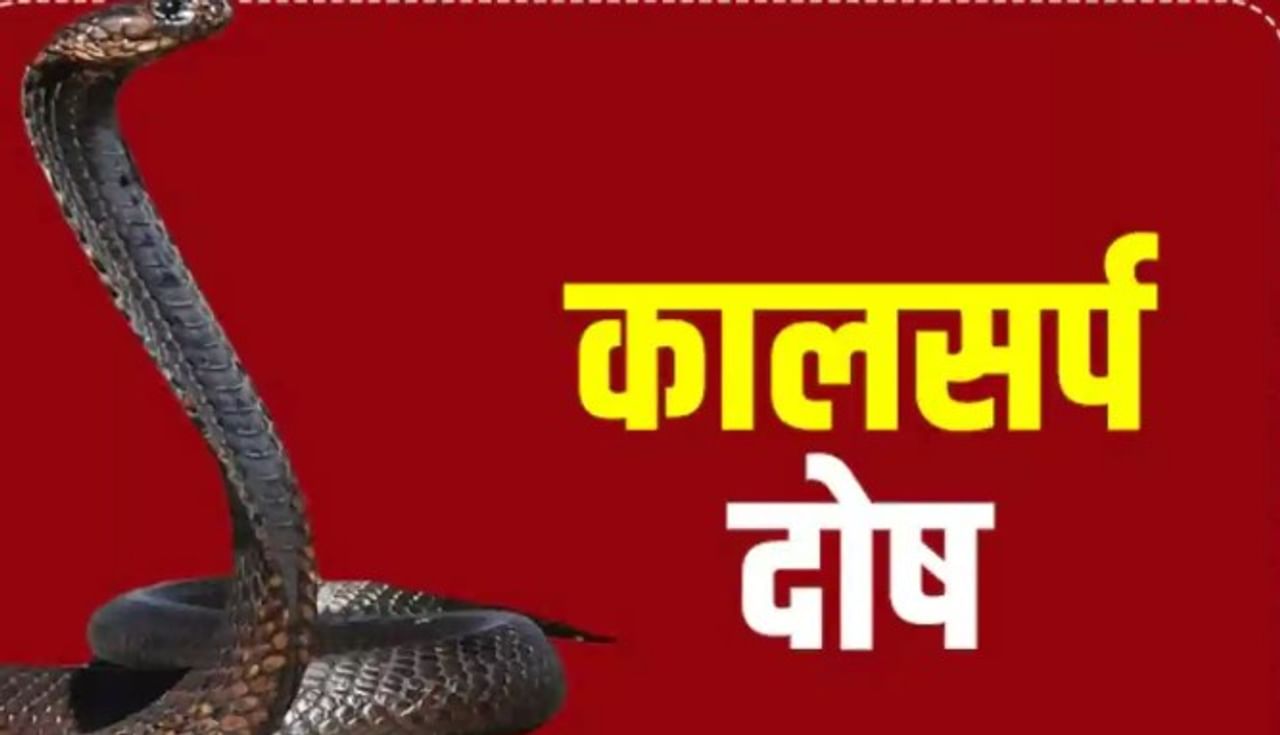 तुमच्या कुंडलीत कालसर्प दोष असेल तर तुम्हाला वेगवेगळ्या पातळीवर अनेक अडचणी येऊ शकतात. हाच कालसर्प दोषाचा प्रभाव कमी करता येऊ शकतो.